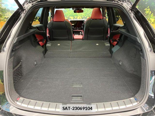 Lexus NX 2023-06 7979785-12
