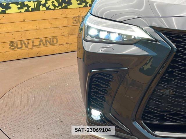Lexus NX 2023-06 7979785-14