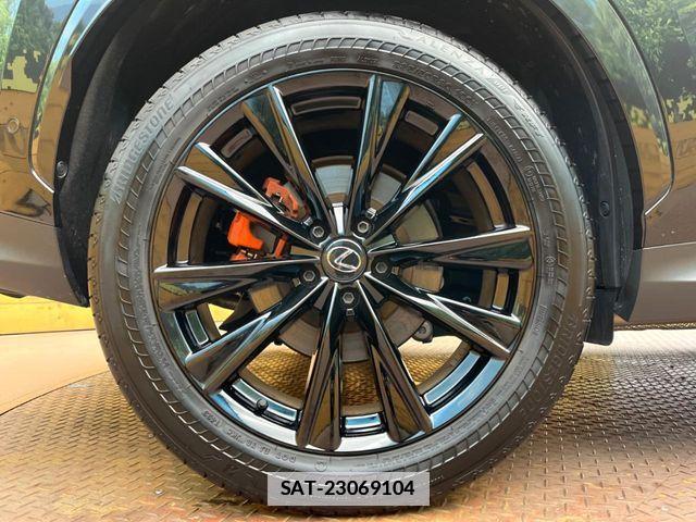 Lexus NX 2023-06 7979785-15