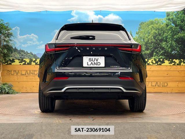 Lexus NX 2023-06 7979785-17