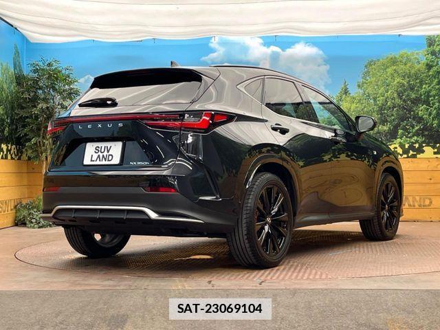 Lexus NX 2023-06 7979785-19
