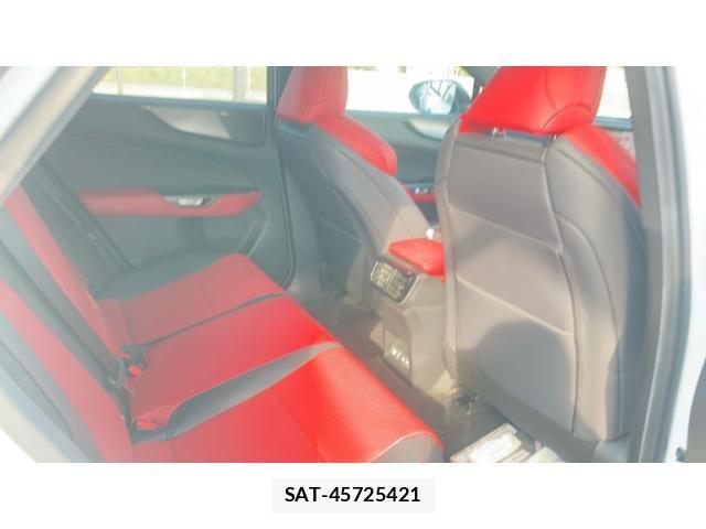 Lexus NX 2021-12 7979786-8