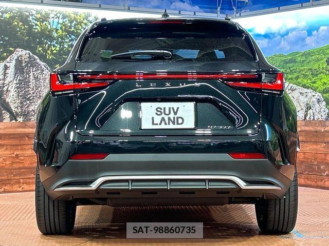 Lexus NX 2025-05 7979782-14
