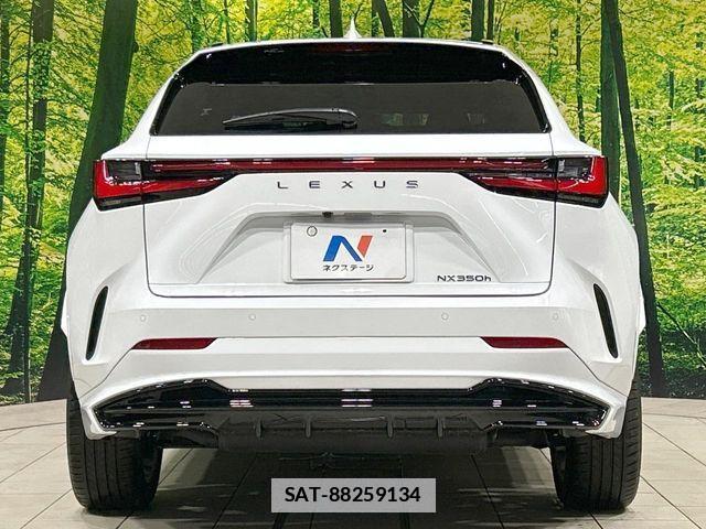 Lexus NX 2023-02 7979783-14