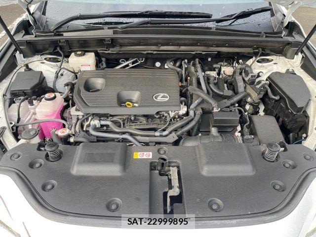 Lexus NX 2021-12 8036475-17