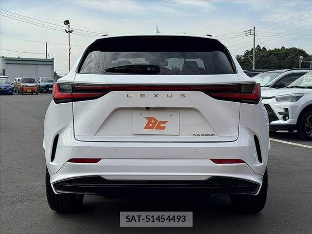 Lexus NX 2024-10 8036469-13