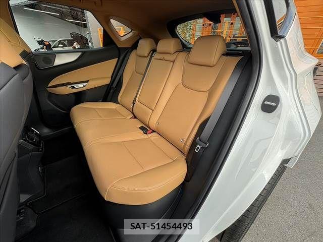 Lexus NX 2024-10 8036469-17