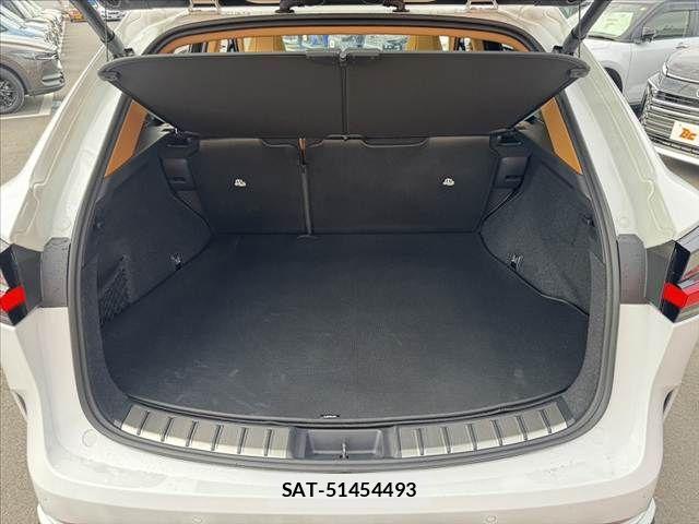 Lexus NX 2024-10 8036469-18