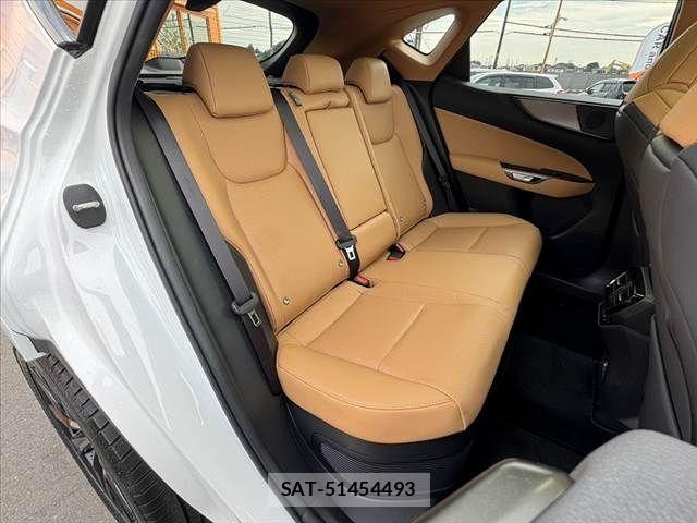 Lexus NX 2024-10 8036469-19