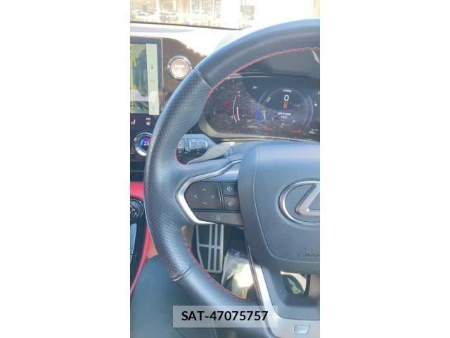 Lexus NX 2024-08 8036473-10