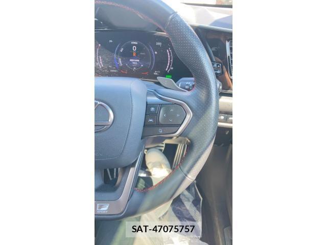 Lexus NX 2024-08 8036473-11