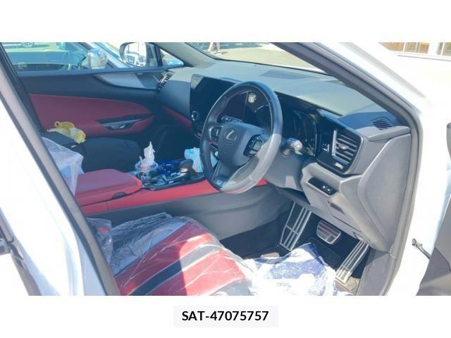 Lexus NX 2024-08 8036473-17