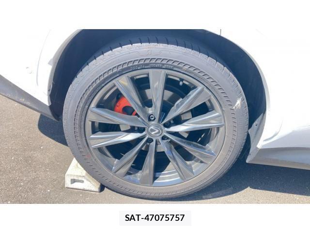 Lexus NX 2024-08 8036473-19