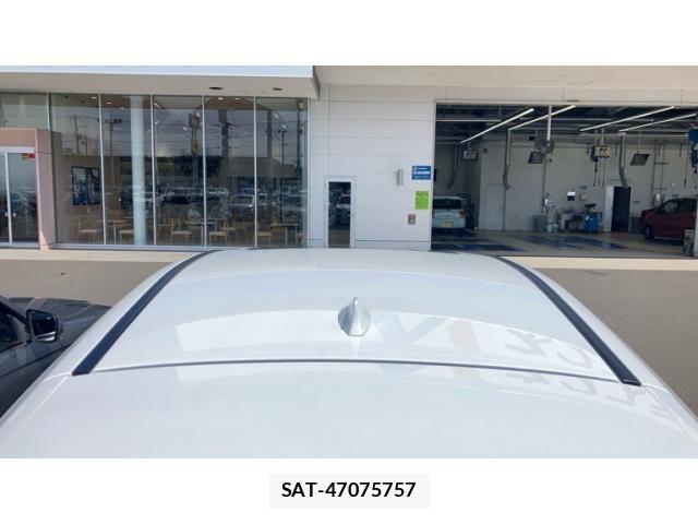 Lexus NX 2024-08 8036473-24