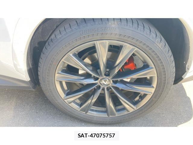 Lexus NX 2024-08 8036473-25