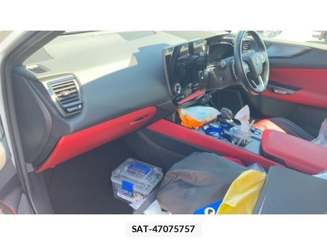 Lexus NX 2024-08 8036473-27