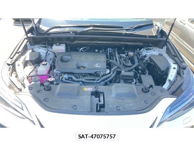 Lexus NX 2024-08 8036473-28