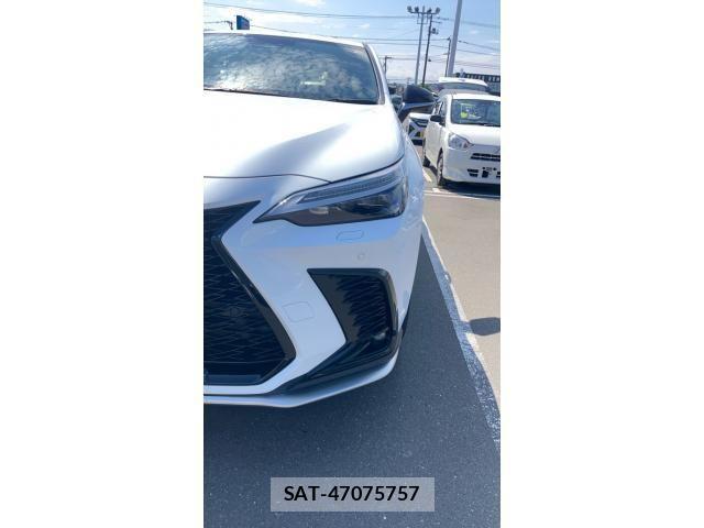 Lexus NX 2024-08 8036473-29