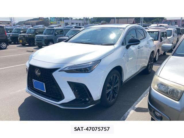 Lexus NX 2024-08 8036473-3