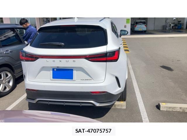 Lexus NX 2024-08 8036473-4