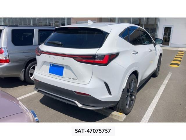 Lexus NX 2024-08 8036473-5