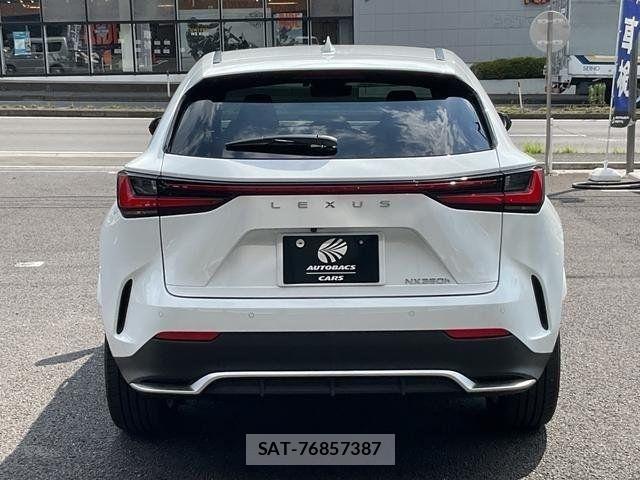 Lexus NX 2023-04 8036472-9