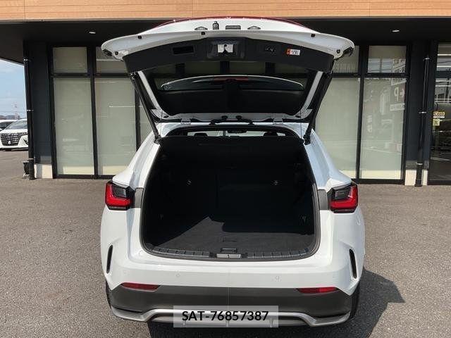 Lexus NX 2023-04 8036472-13