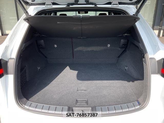 Lexus NX 2023-04 8036472-14