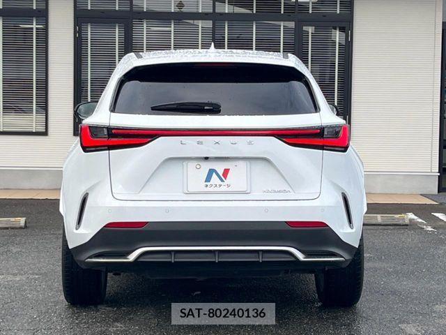 Lexus NX 2023-12 8036474-15
