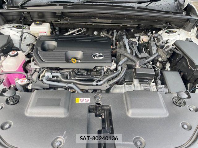 Lexus NX 2023-12 8036474-17