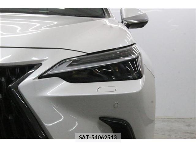 Lexus NX 2023-03 8074374-14