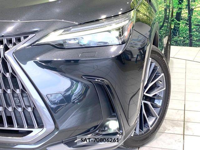 Lexus NX 2023-03 8074375-11