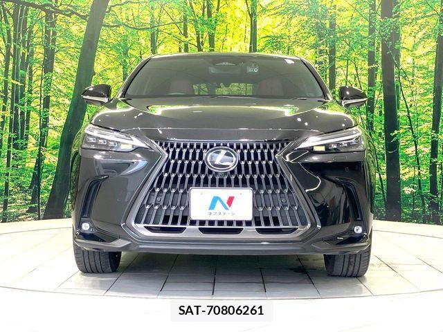 Lexus NX 2023-03 8074375-13