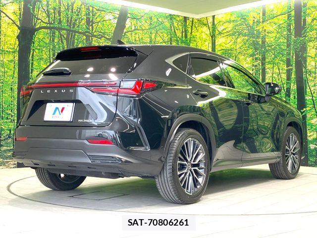 Lexus NX 2023-03 8074375-16