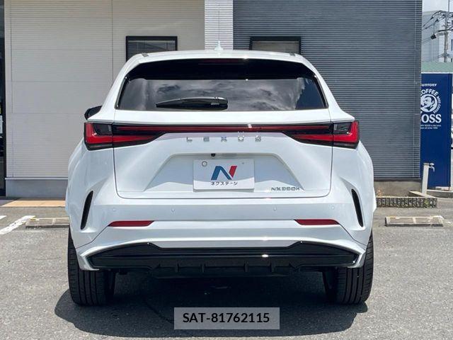 Lexus NX 2024-03 8074368-16