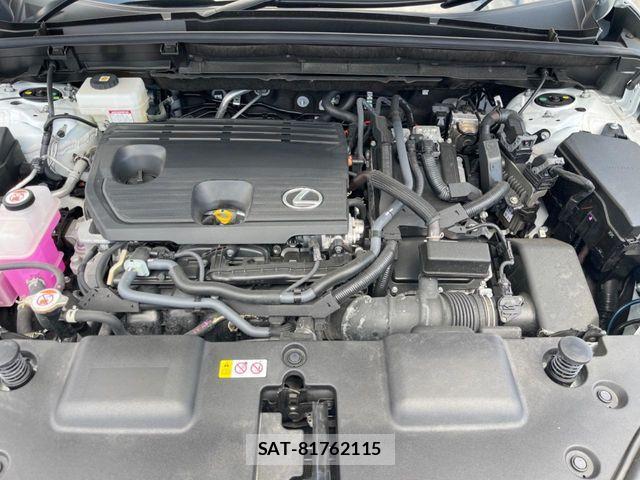 Lexus NX 2024-03 8074368-17
