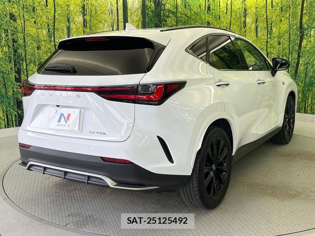 Lexus NX 2023-07 8074373-17