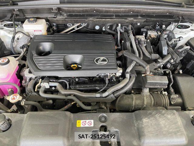 Lexus NX 2023-07 8074373-18