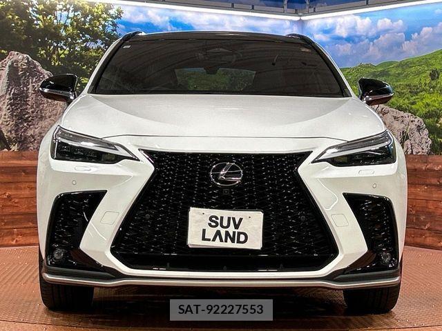Lexus NX 2023-08 8100176-13