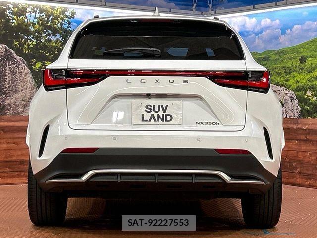 Lexus NX 2023-08 8100176-14