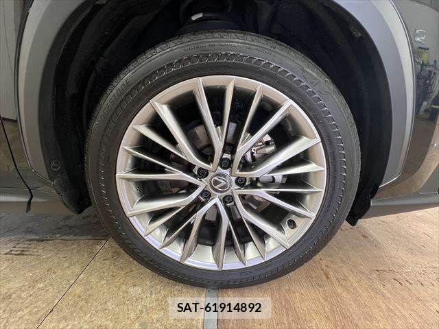 Lexus NX 2024-03 8100180-13