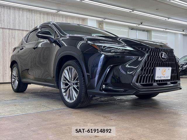 Lexus NX 2024-03 8100180-15