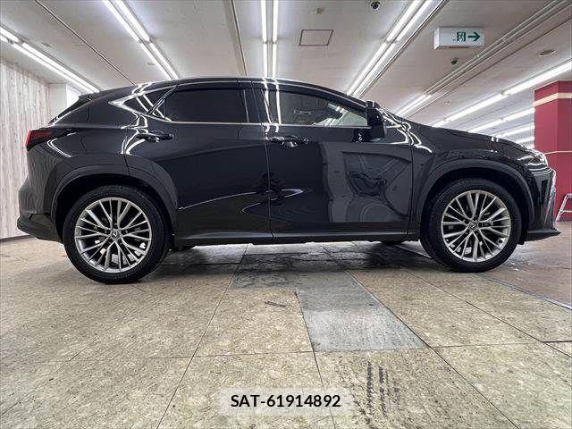 Lexus NX 2024-03 8100180-16