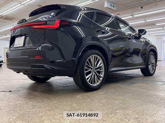 Lexus NX 2024-03 8100180-18