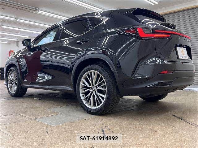 Lexus NX 2024-03 8100180-19