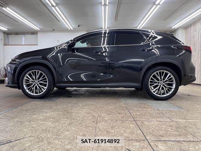 Lexus NX 2024-03 8100180-20