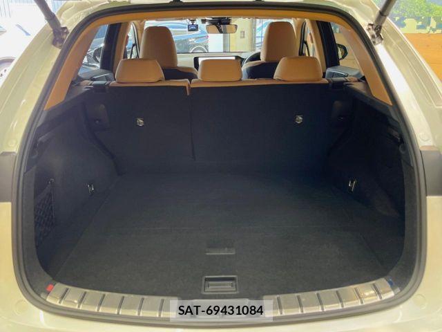 Lexus NX 2023-02 8100172-9