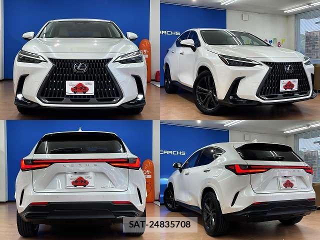 Lexus NX 2024-04 8100178-3