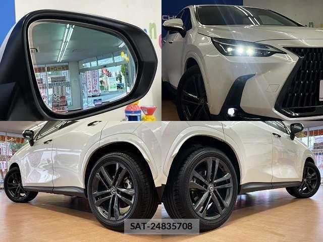 Lexus NX 2024-04 8100178-8