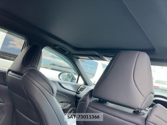 Lexus NX 2023-06 8100171-13